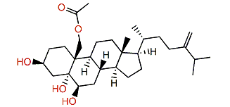 Ergost-24(28)-en-3b,5a,6b,19-tetrol 19-monoacetate